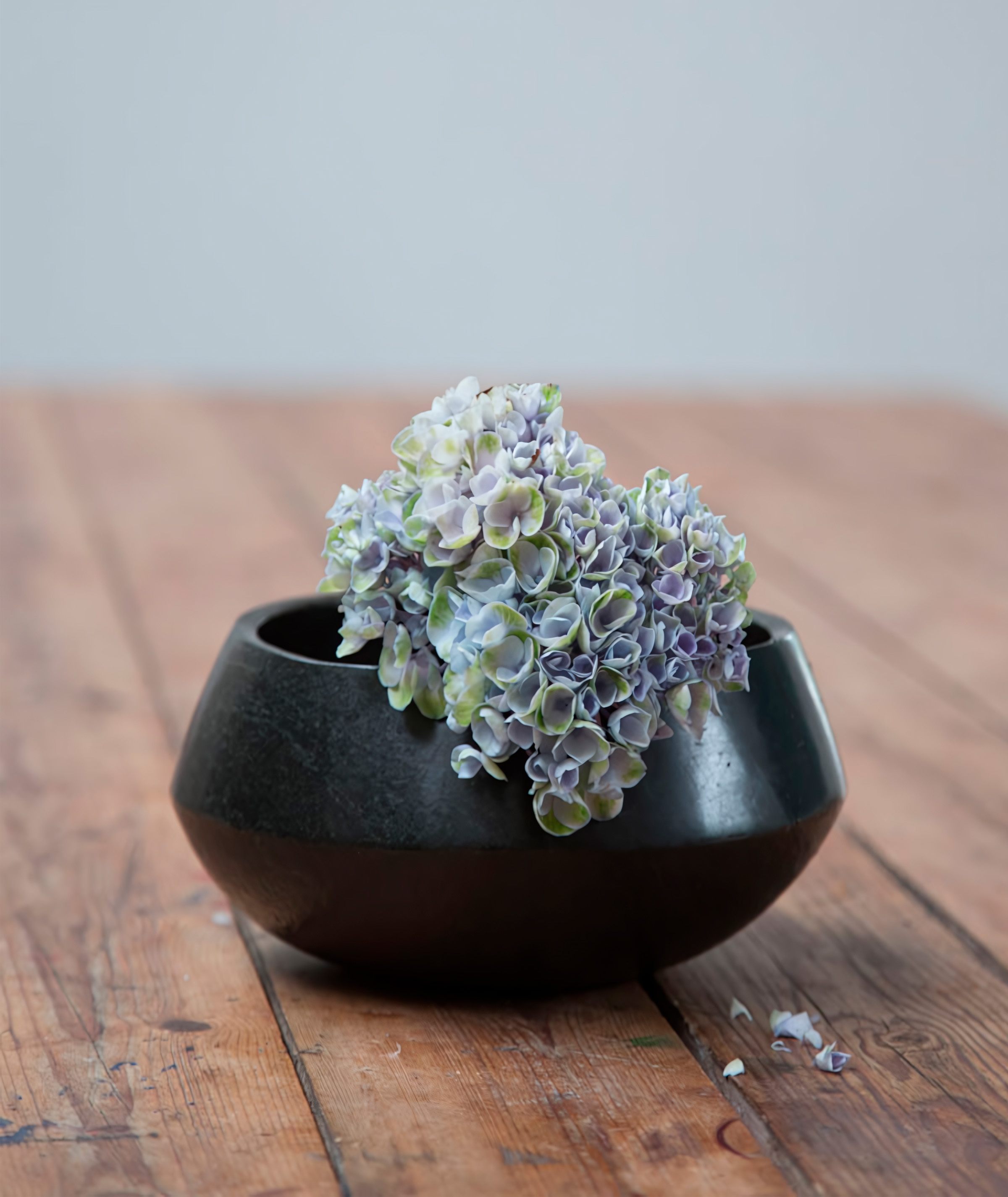 Bowl with Fold 1